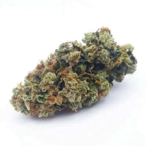 Shishkaberry Kush Strain