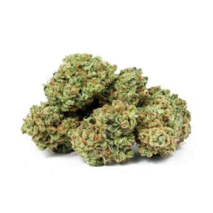 apple fritter cannabis strain